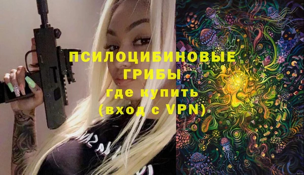 трава Абаза