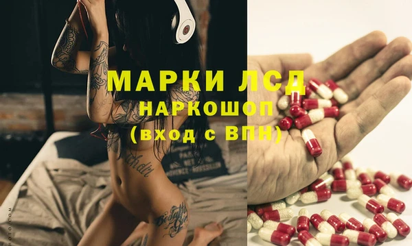 трава Абаза