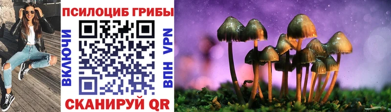 Галлюциногенные грибы мицелий Ильский